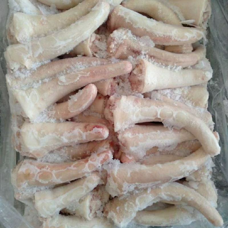 鲜冻猪尾短尾猪尾巴小根短尾10斤/20斤按