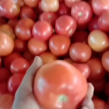 精品粉果