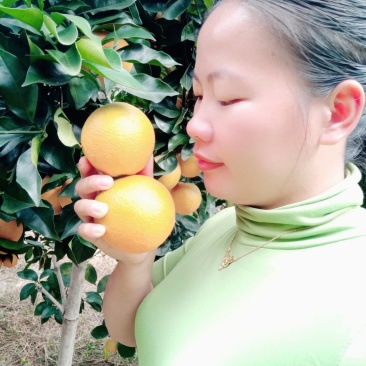 正宗赣南脐橙，农户直供，欢迎预订，实地考察，，
