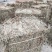 仙鹤草、仙鹤草机压件，现货供应，数量有限可联系