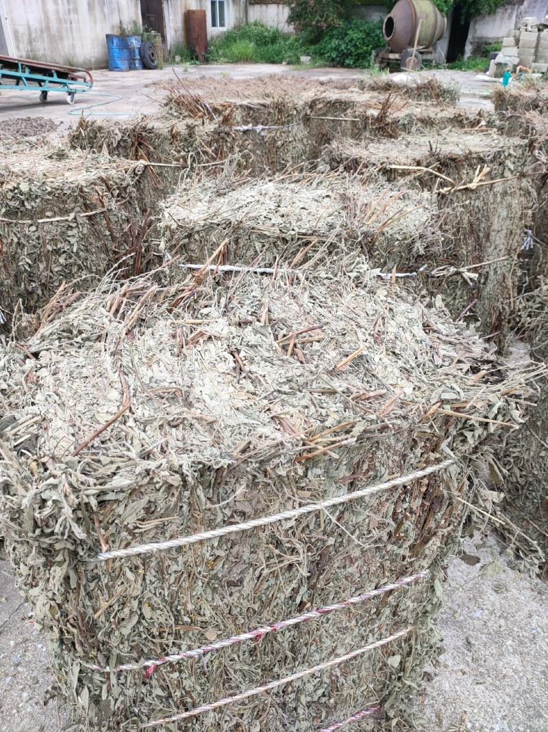 仙鹤草、仙鹤草机压件，现货供应，数量有限可联系