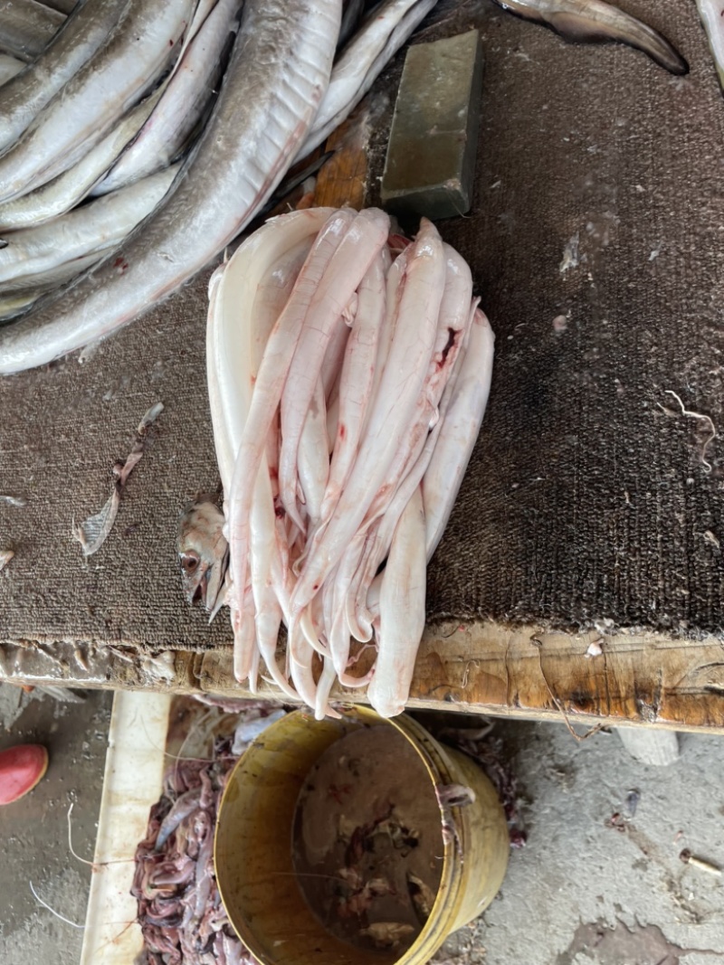 海钓的鲜鳗鱼胶，需要联系我