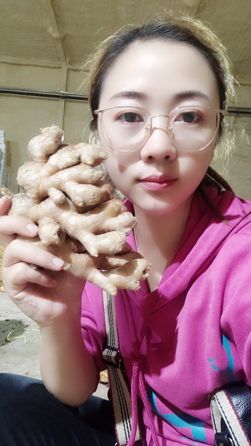 山东优选大黄姜大量供应【全国发货坏烂包赔】质量保证