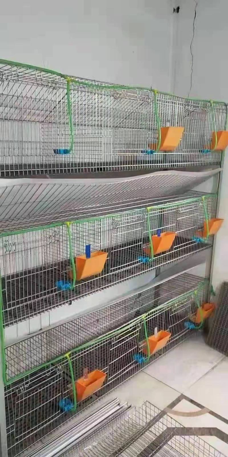 养殖大棚颗粒机欧式兔笼复试兔笼草子颗粒料