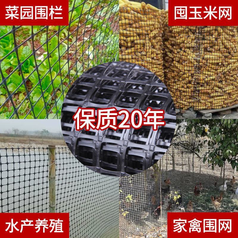 黑色格栅养鸡鸭鹅养殖围栏网圈玉米网果园围栏网