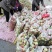 山东冬桃平邑冬桃，产地直销，个大脆甜品质保证价格公道