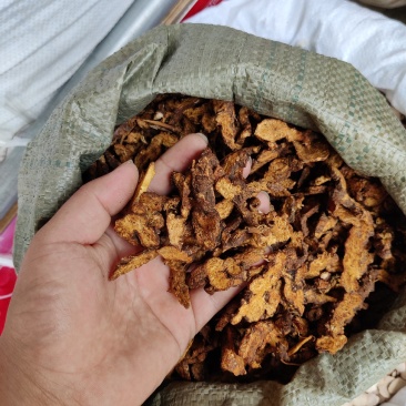 苍术内蒙苍术东北苍术规格齐全一公斤起批