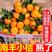南丰蜜橘柑桔柑橘保质保量，欢迎咨询订购。