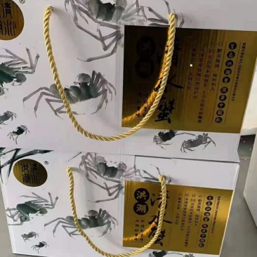 湖北洪湖清水大闸蟹鲜活螃蟹礼盒包装顺丰