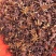 八角广西大红八角干水烫秋果大料茴香春花干枝批发包邮