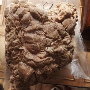 熟羊肉牧区红精修八成熟一柜一手货源现做现发可视频看货