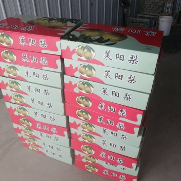 正宗莱阳梨，规格85以上，口感脆甜，糖度14，全国发货！