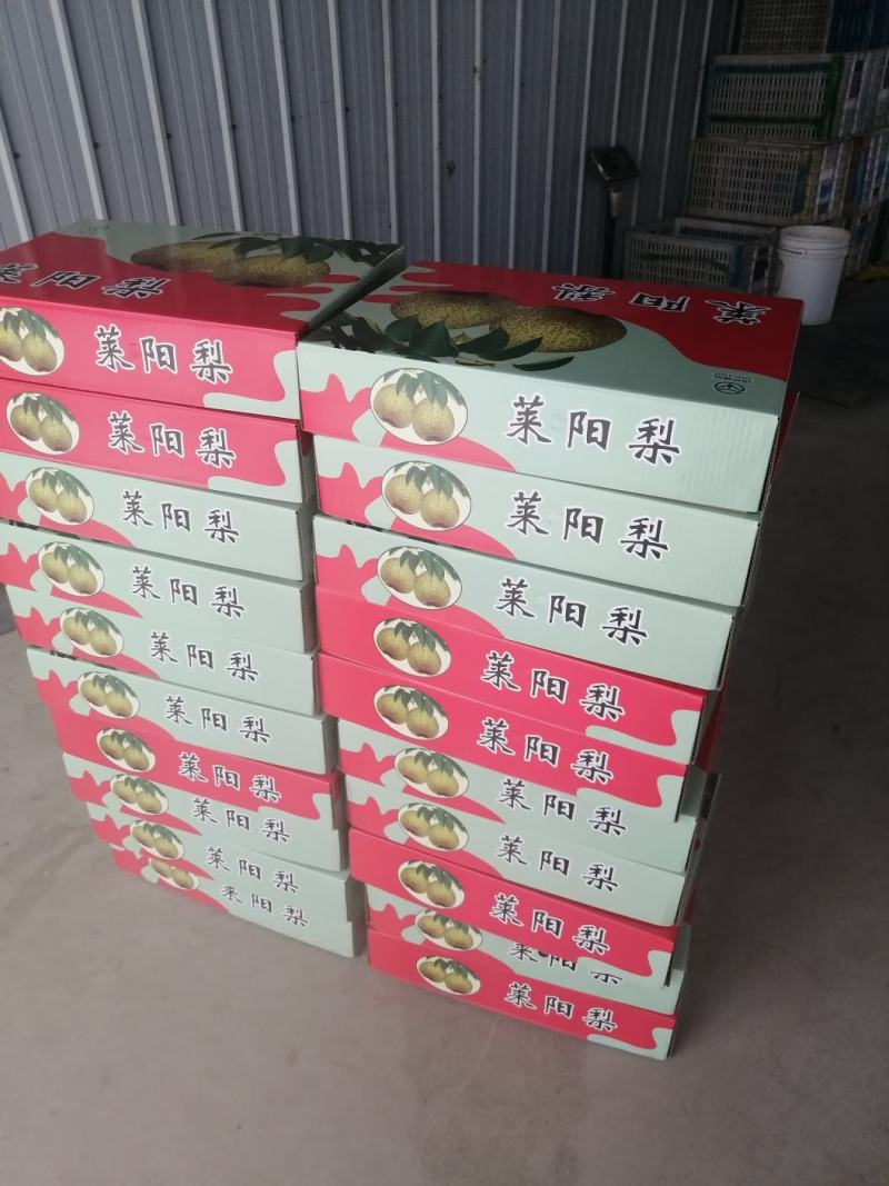 正宗莱阳梨，规格85以上，口感脆甜，糖度14，全国发货！