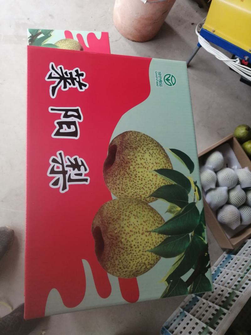 正宗莱阳梨，规格85以上，口感脆甜，糖度14，全国发货！