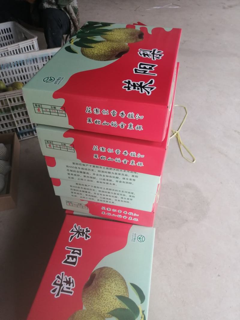 正宗莱阳梨，规格85以上，口感脆甜，糖度14，全国发货！