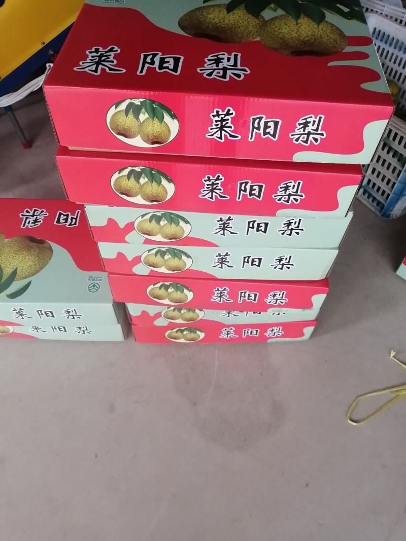 正宗莱阳梨，规格85以上，口感脆甜，糖度14，全国发货！