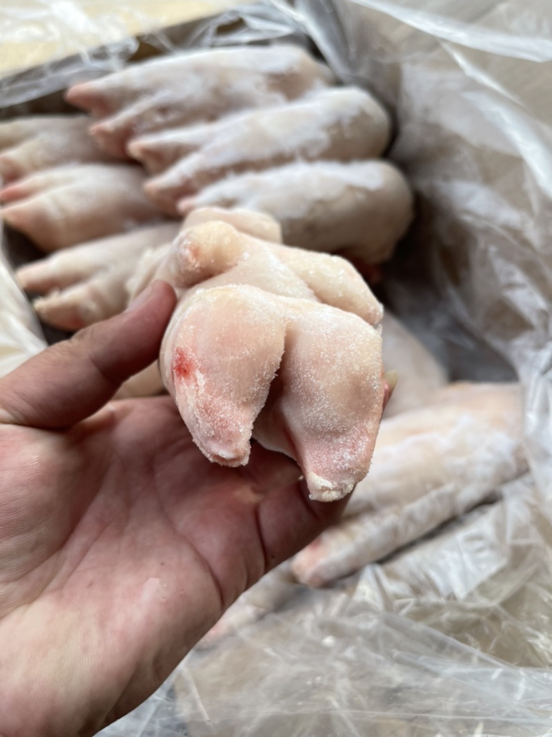 猪蹄国产肥猪一级-前后混装猪蹄-纯干-随时支持各位老看货
