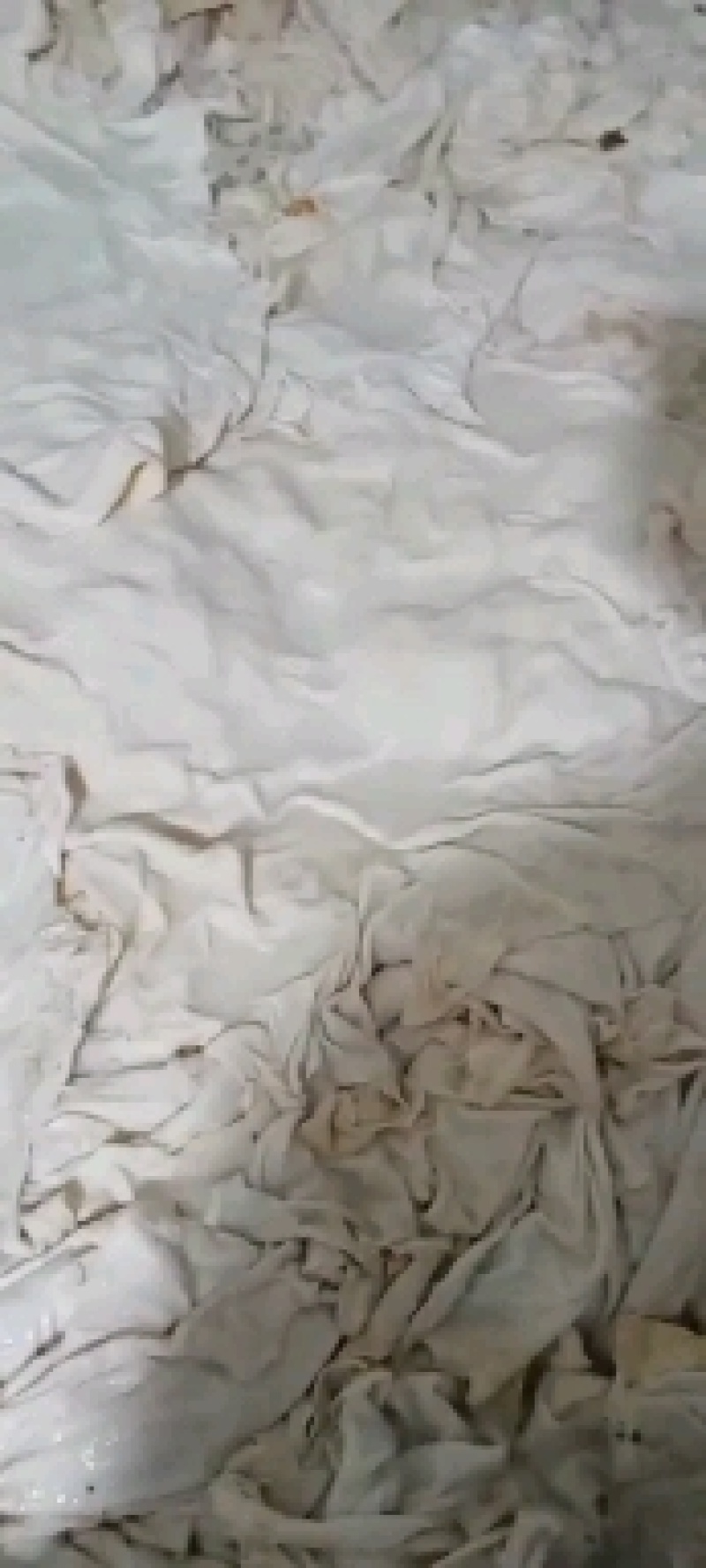 羊皮丝，纯干货，无油无毛根，一手货源，大量加工需要的联系