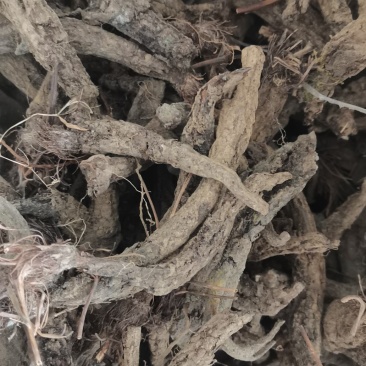 八瓣花，草玉梅