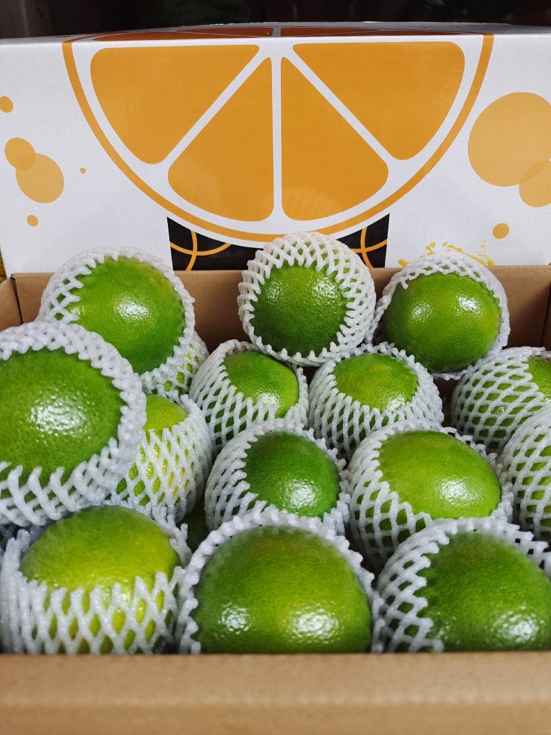 一件代发，新平冰糖橙精品礼盒装九斤，口感纯甜多汁，现摘现
