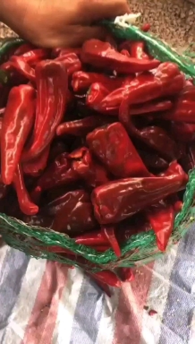 山西忻州精品北京红干辣椒大量供应！整车代发，产地直供