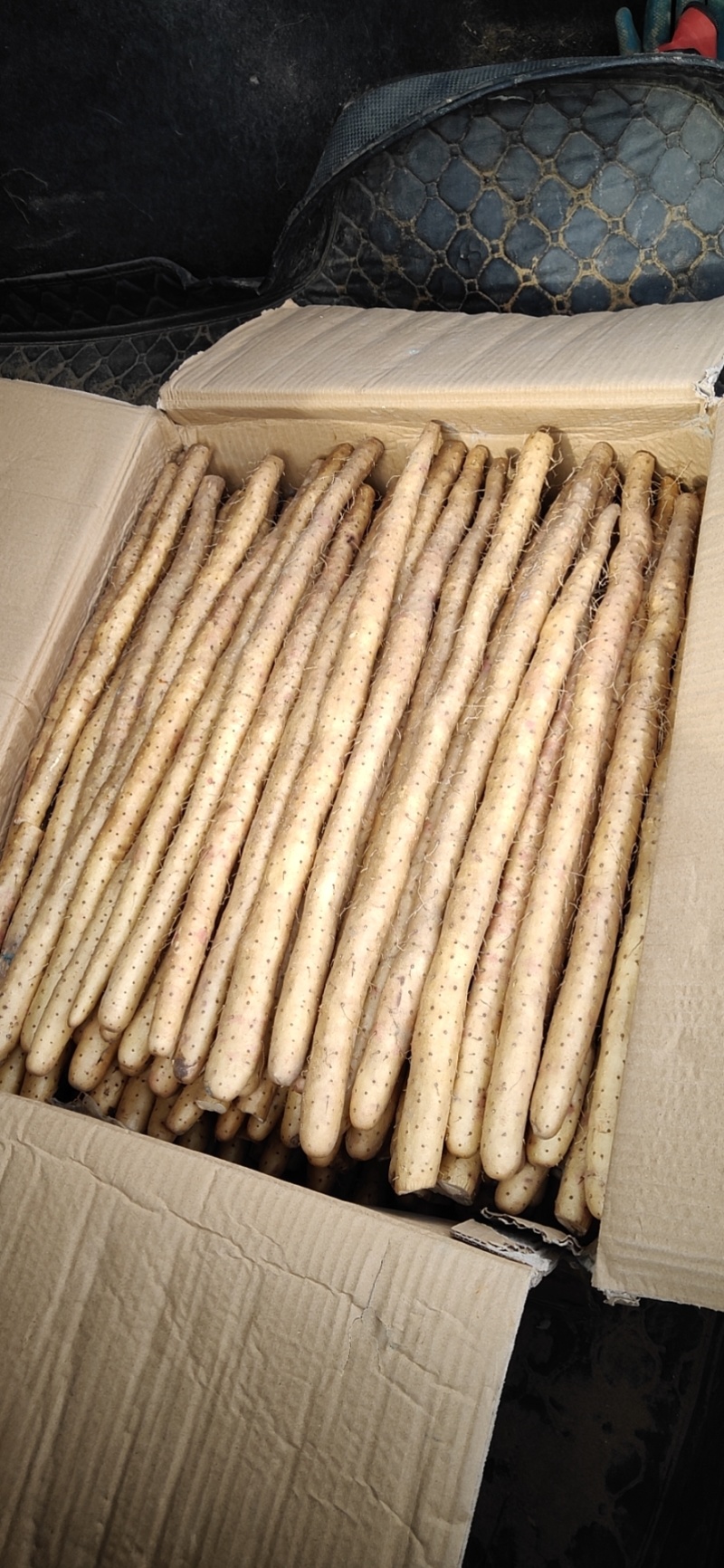 银川白玉山药货源充足口感好颜色好看耐储存耐运输可打捆装箱