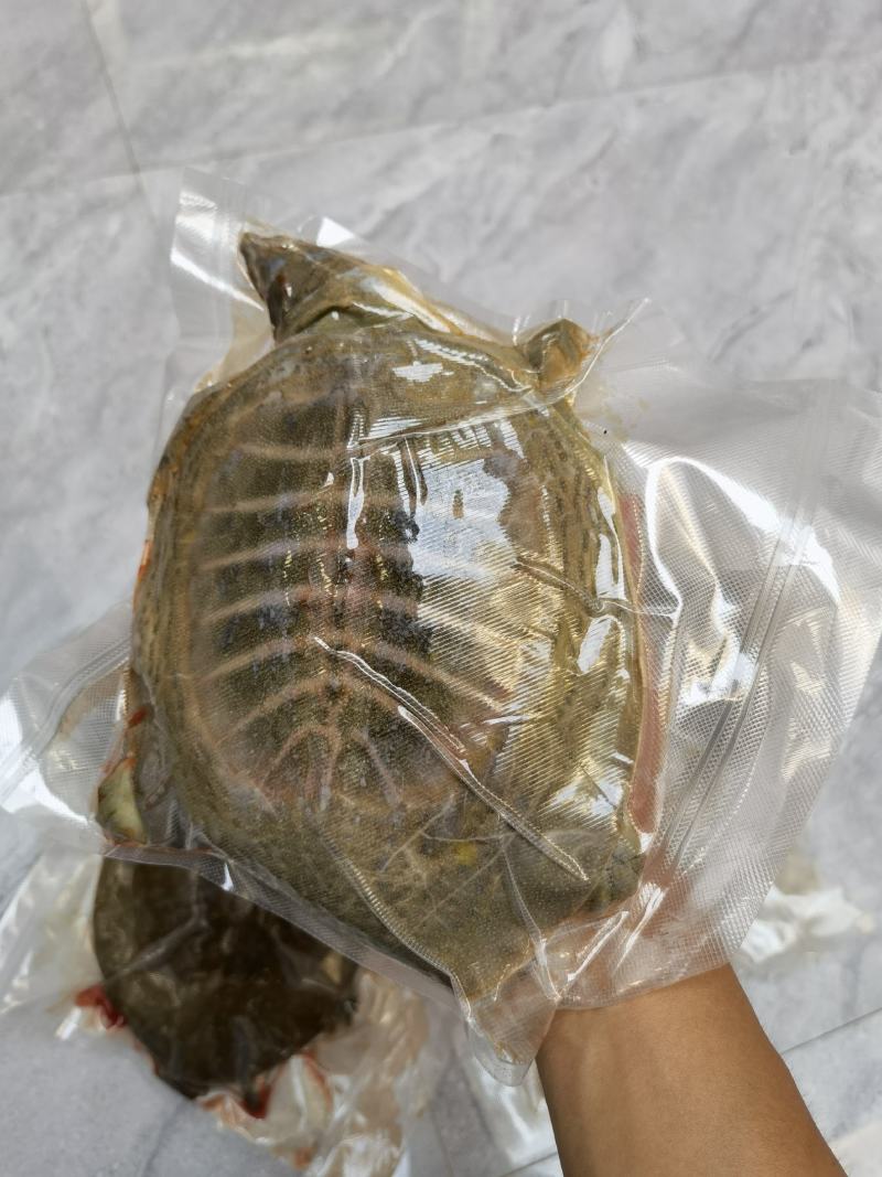 品质甲鱼，真空包装，鲜活现杀，冷冻后发货，公母不分