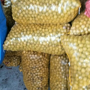 核桃