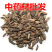 牛蒡子，野生牛子籽粒饱满干净无杂，质量保证欢迎咨询合作！