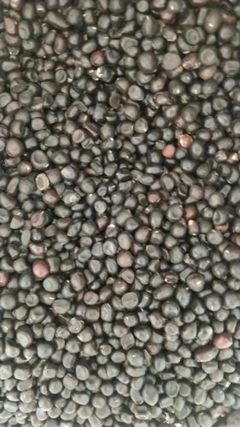 牡丹子，新货牡丹子自产自销果仁饱满质量保证，欢迎购买！