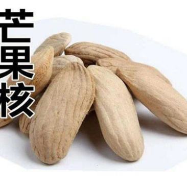 杧果核，新货杧果核果仁饱满颜色好，经营千余种中药材欢迎购