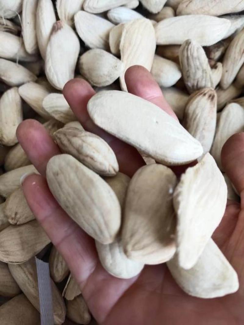 杧果核，新货杧果核果仁饱满颜色好，经营千余种中药材欢迎购