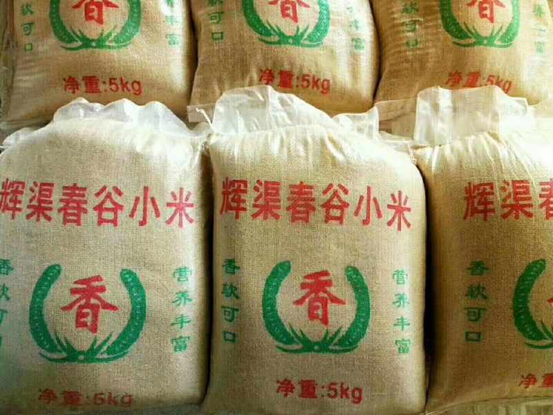 辉渠梯田春谷小米：小米粒小、米黄、性粘味香，营养丰富…