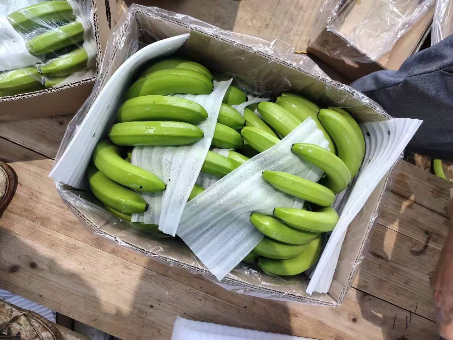 带点香蕉的保存方法
