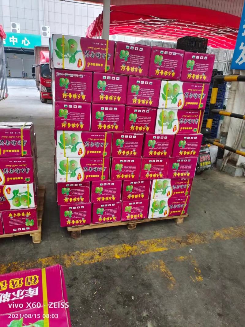 库尔勒香梨二级大吨位供应