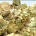 啤酒花，酒花新货颜色好，经营千余种中药材欢迎咨询购买！