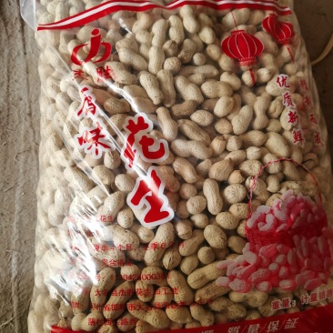 **海花原味炒花生/熟花生/量大价优欢迎咨询