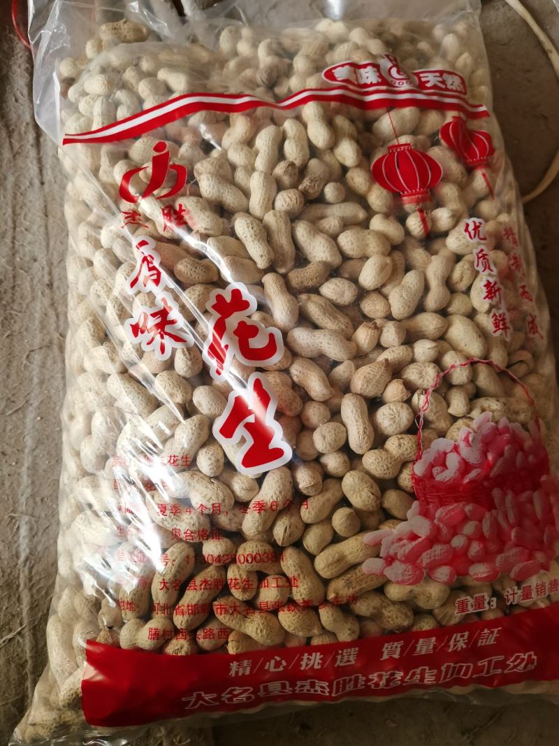 **海花原味炒花生/熟花生/量大价优欢迎咨询