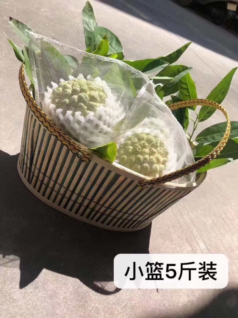 林檎