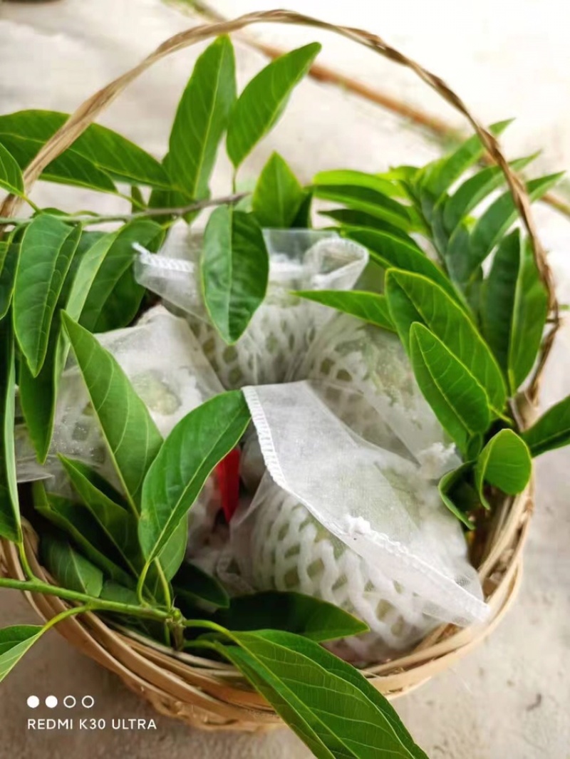林檎