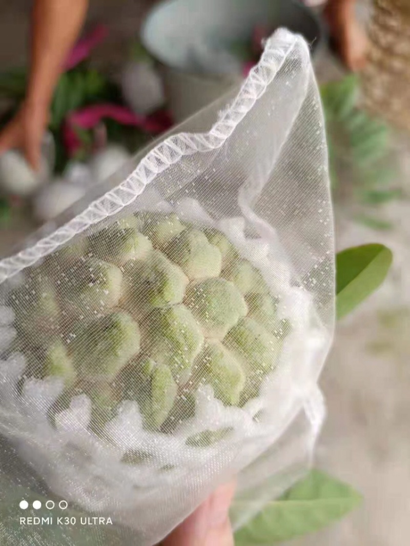 林檎