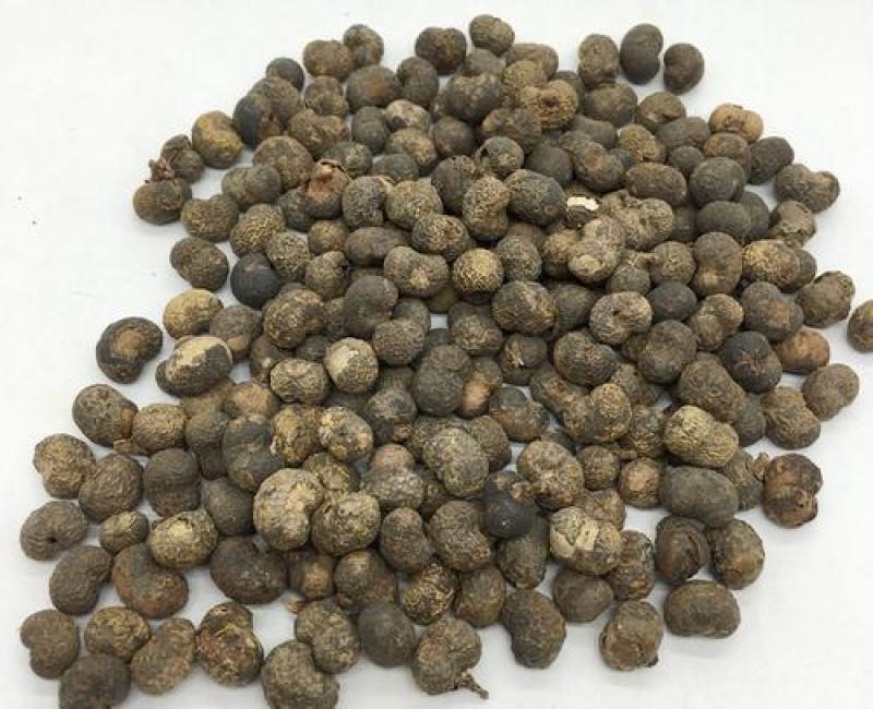 棕榈子，棕榈树子饱满个大今年新货经营千余种中药材欢迎购买