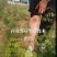 黄连木树苗