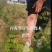 黄连木树苗