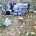 宁夏中卫纸袋红富士苹果产地代办代收，诚信第一