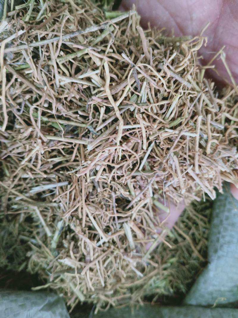 徐长卿，了刁珠质量保证现货供应欢迎咨询合作供应千余种中药