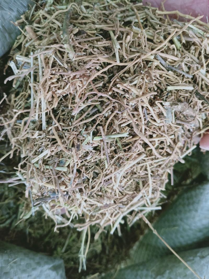 徐长卿，了刁珠质量保证现货供应欢迎咨询合作供应千余种中药