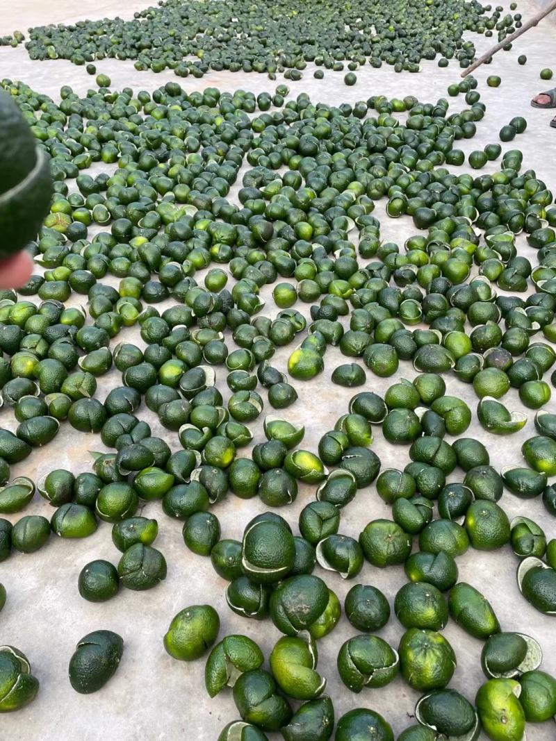 陈皮青皮2023新货青皮三花大量现货批发