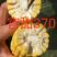 宫甜370高端甜玉米种子，卖相好，耐运输，产量高，口感好