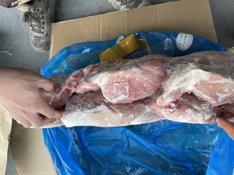 母猪-前驳-质量如图纯干货-每天生产-随时支持老板看货